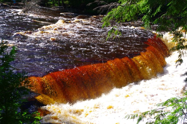 Rootbeer brown water cascades over the Tahquamenon Falls in Paradise, Michigan.